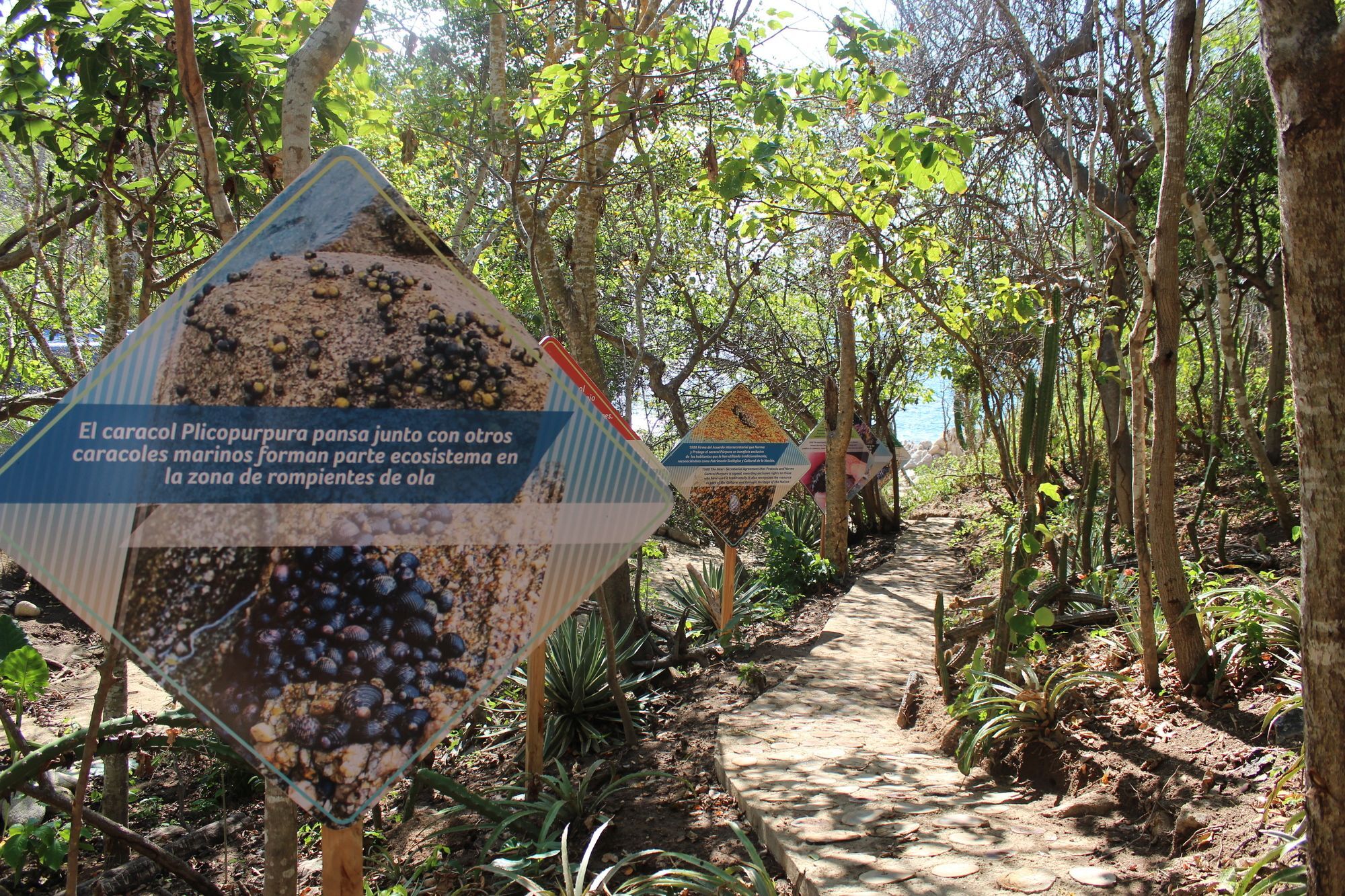 Isla Natura Beach Huatulco Санта-Крус-Уатулько Екстер'єр фото